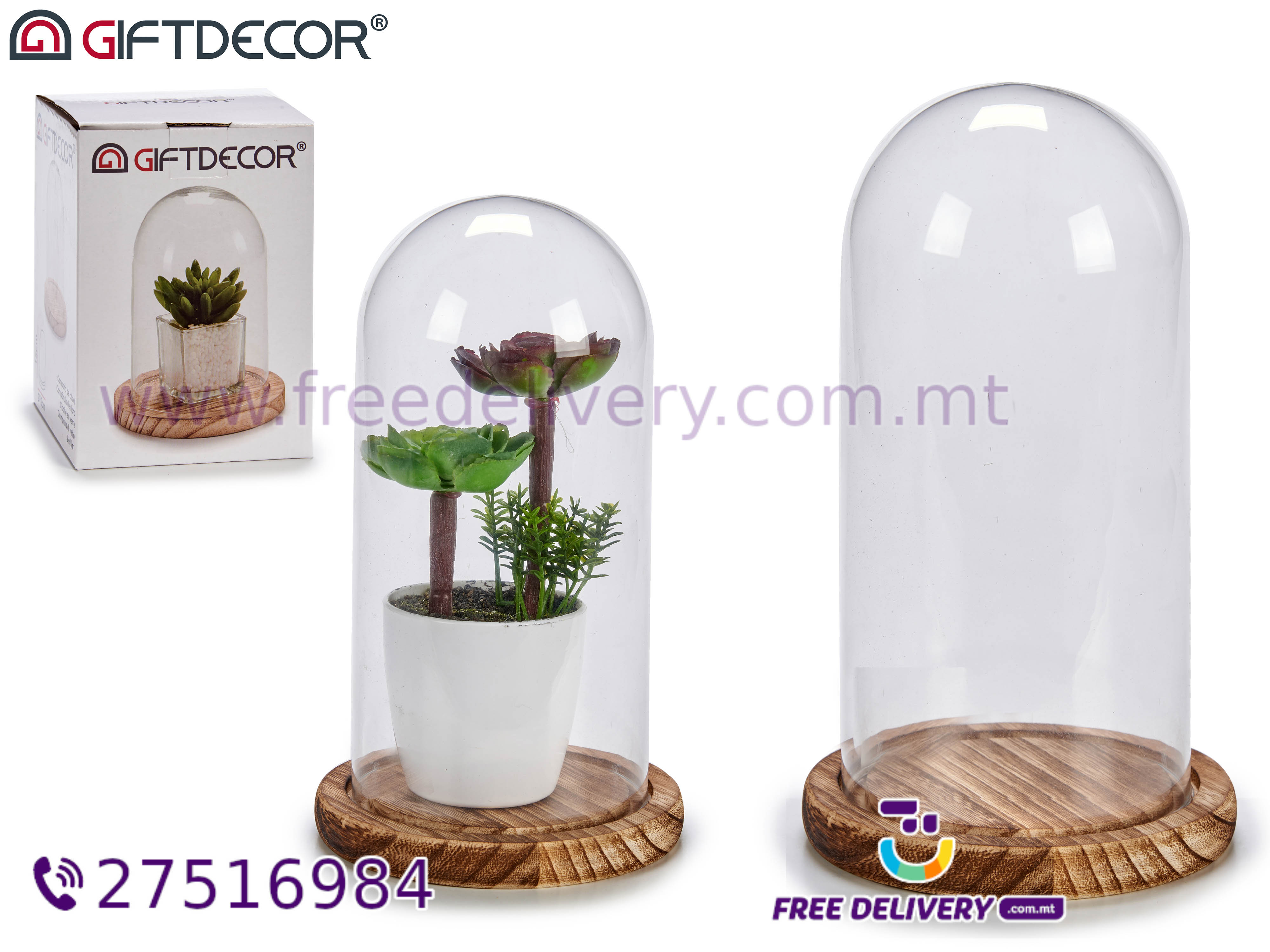 SMALL GLASS DOME 1215 WITH NARROW WOODEN BASE. AR565129. The