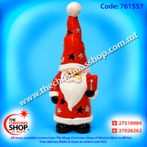 CHRISTMAS ORNAMENT 20X8CM - 761557