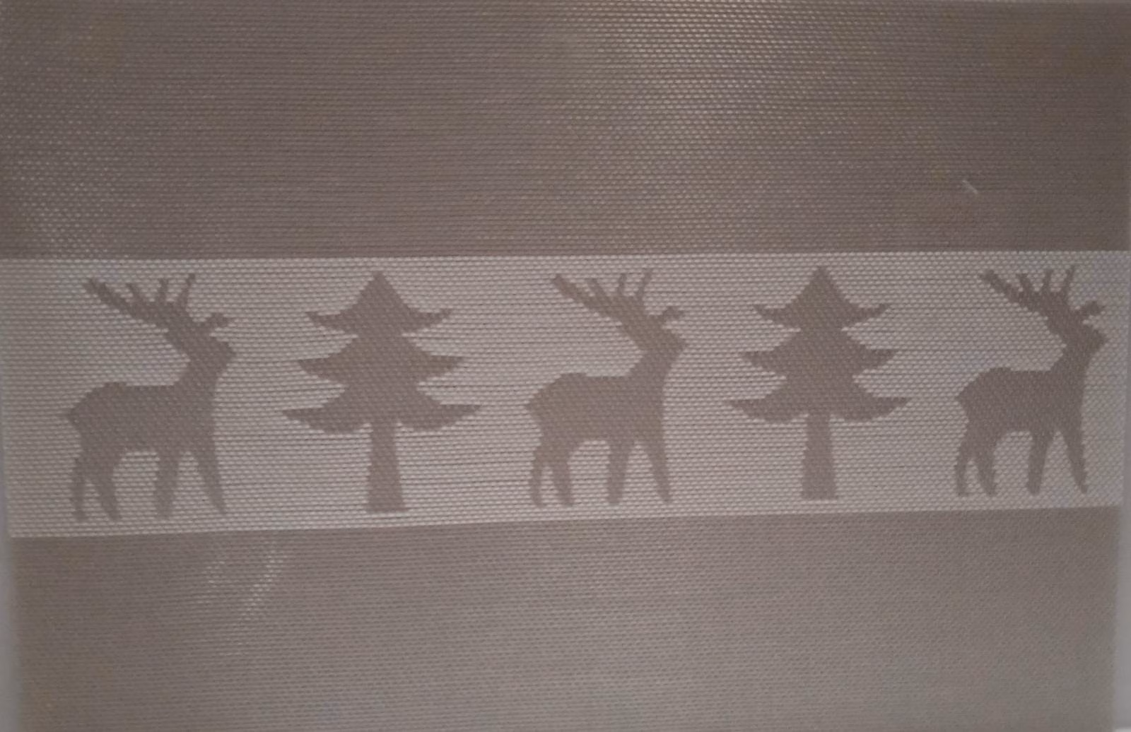 TABLE MAT 30X45CM 3 ASSORTMENT GE522786 - Image 4