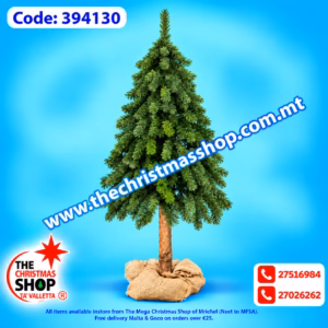 CHRISTMAS TREE MOUNTAIN SPRUCE - SWIEREK GORSKI. 210CMS. 394130