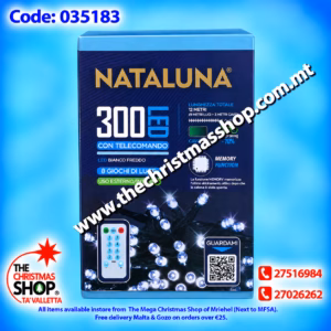 300 LED LIGHTS WITH REMOTE ICE WHITE 9MTRS PAR035183