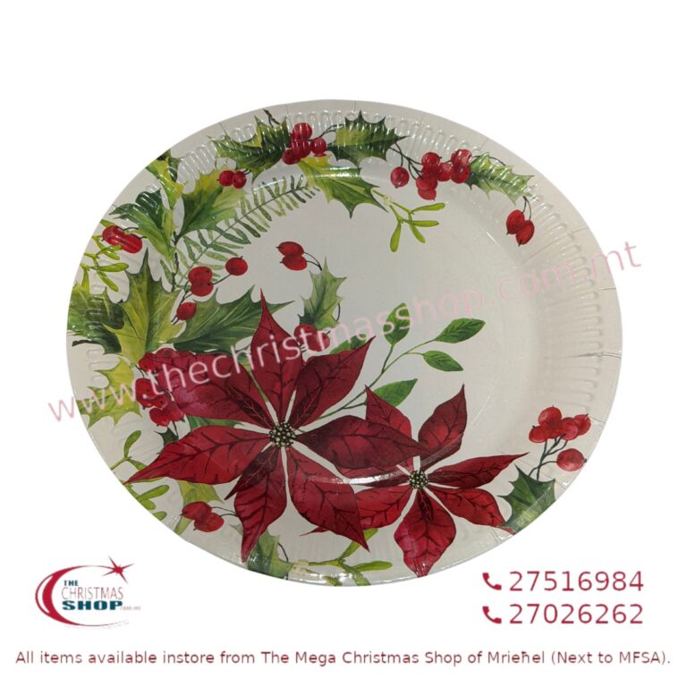 Christmas Party Items