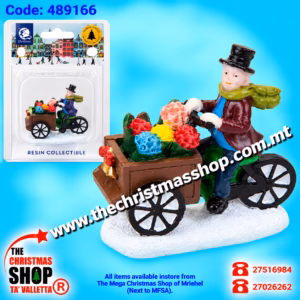 FLOWER SELLER ON BIKE. 489166